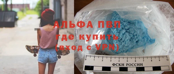 шишки Бородино
