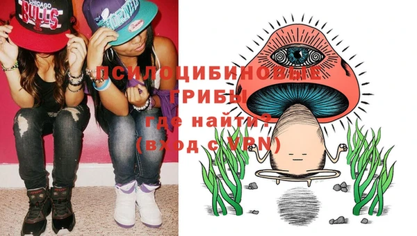 шишки Бородино