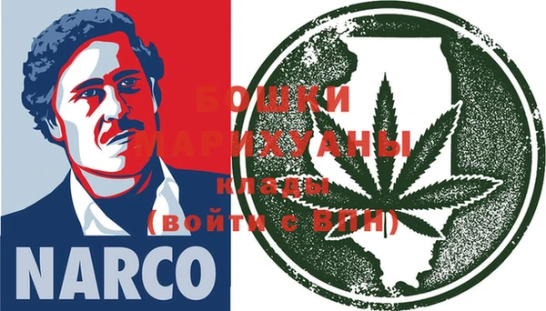 шишки Бородино