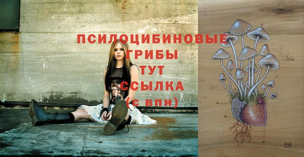 соль курить ск Верея