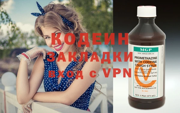 шишки Бородино