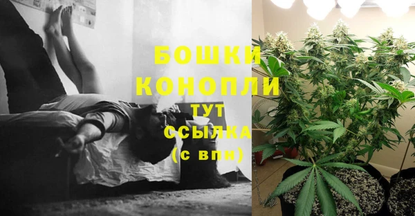 сатива Верхнеуральск